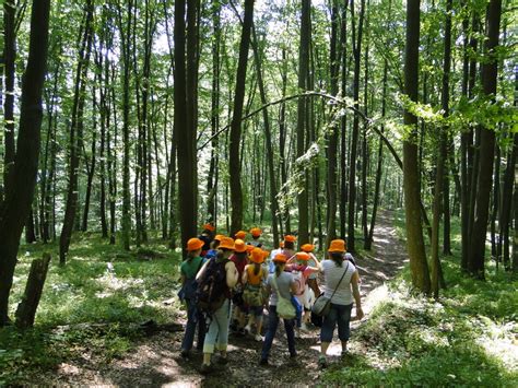 piwniczna atrakcje dla dzieci|Prawdziwie górski park Węgielnik